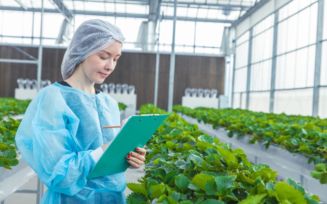 Agritech : la révolution verte portée par les jeunes pousses